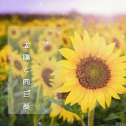 太陽と向日葵（翻自 Flower）