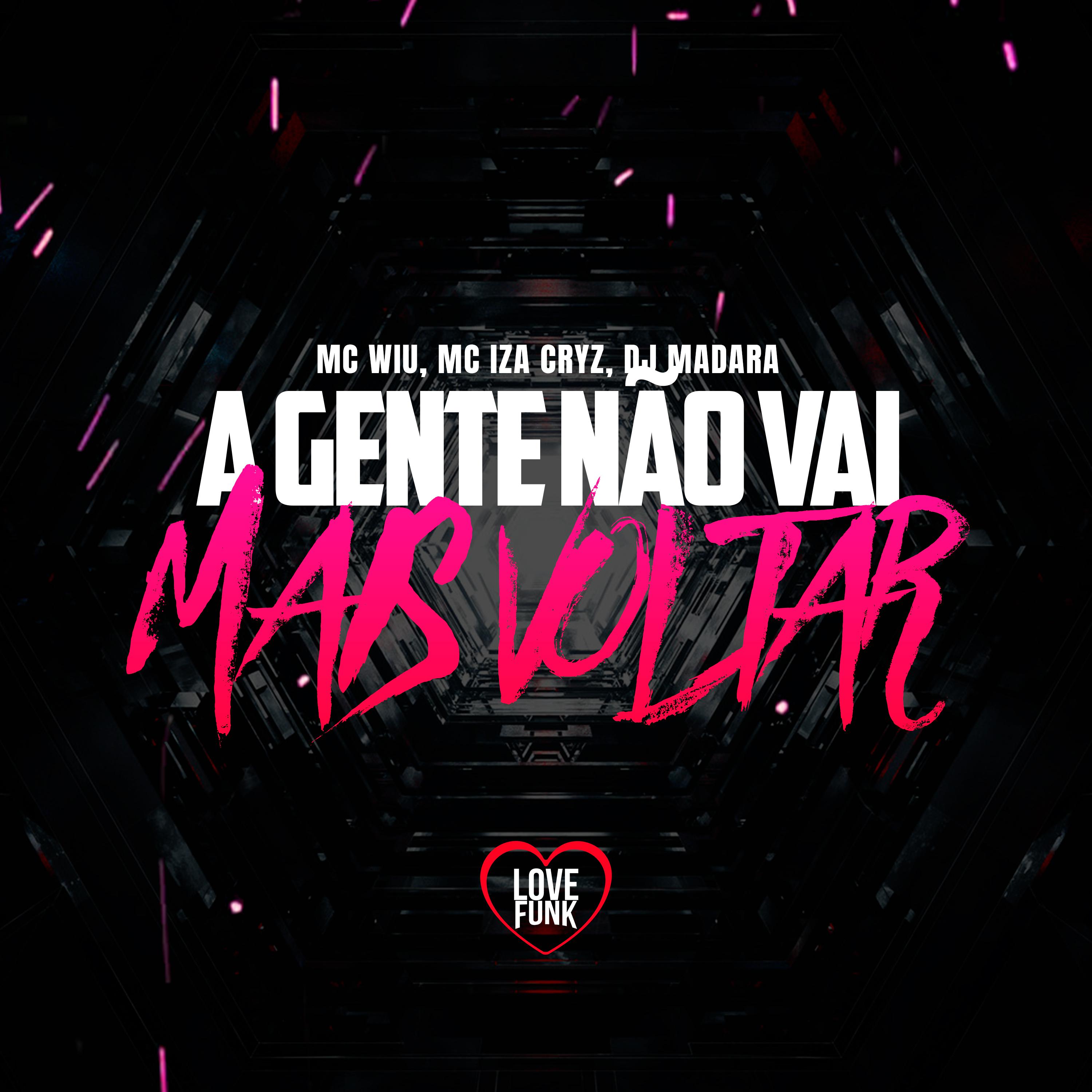 MC Wiu - A Gente Não Vai Mais Voltar