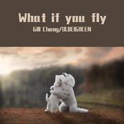 What if you fly