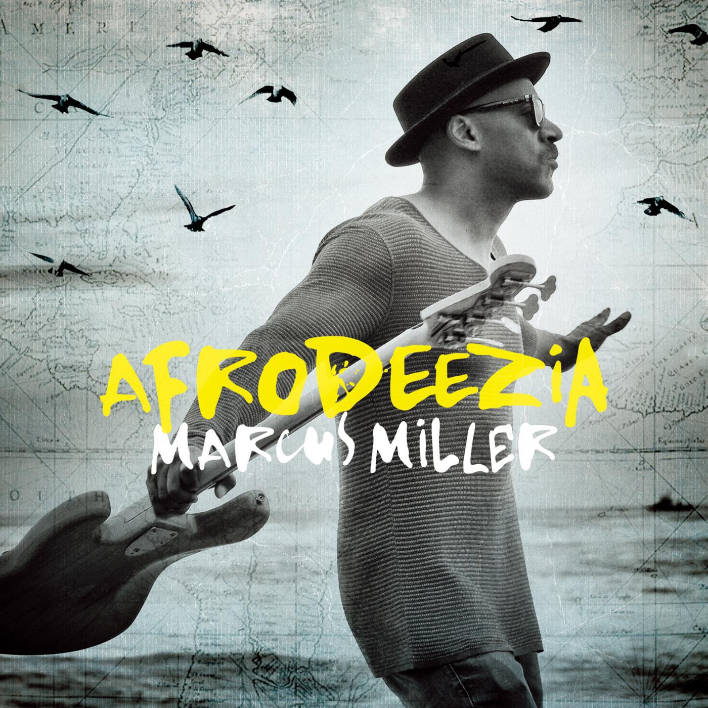 Marcus Miller - HYLIFE