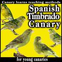 Spanish Timbrado Canary. Canary Learns Teaching Methods For Young Canaries专辑