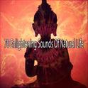 70 Enlightening Sounds Of Natural Life专辑