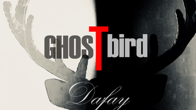 Ghostbird大飞