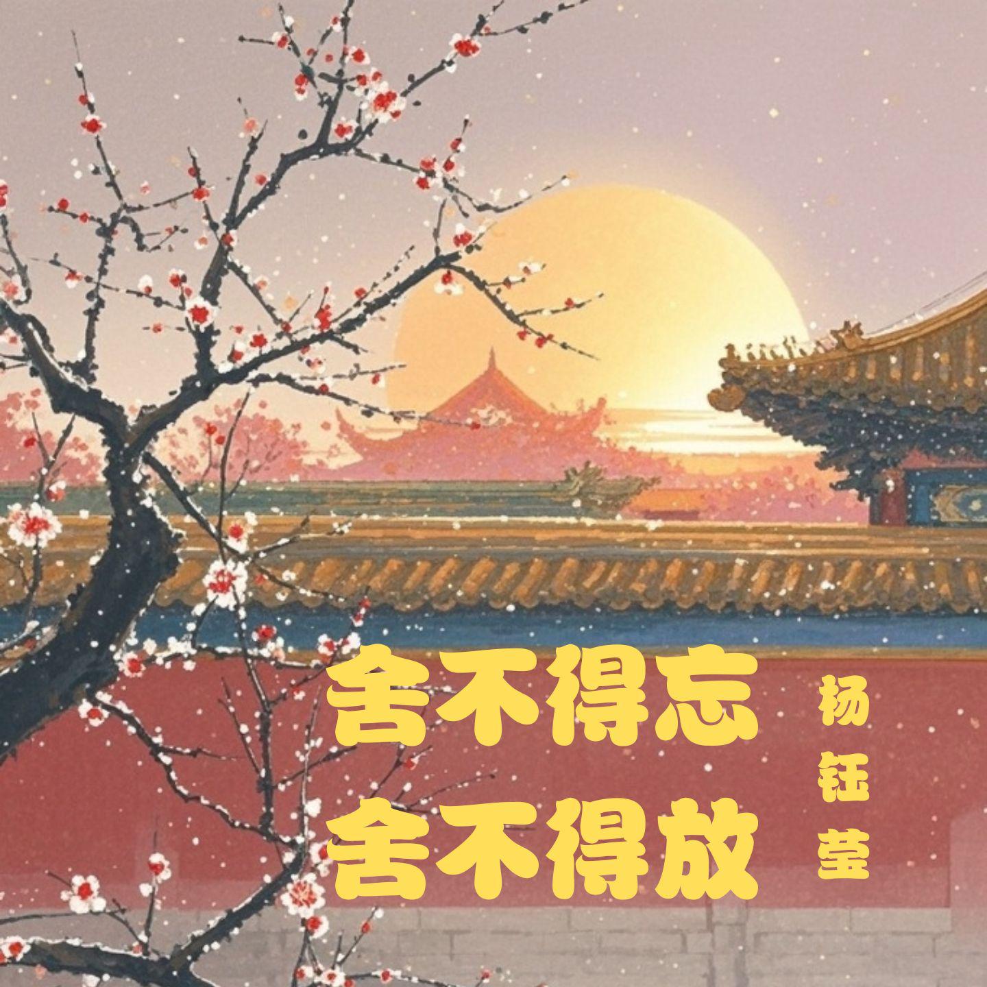 舍不得忘舍不得放