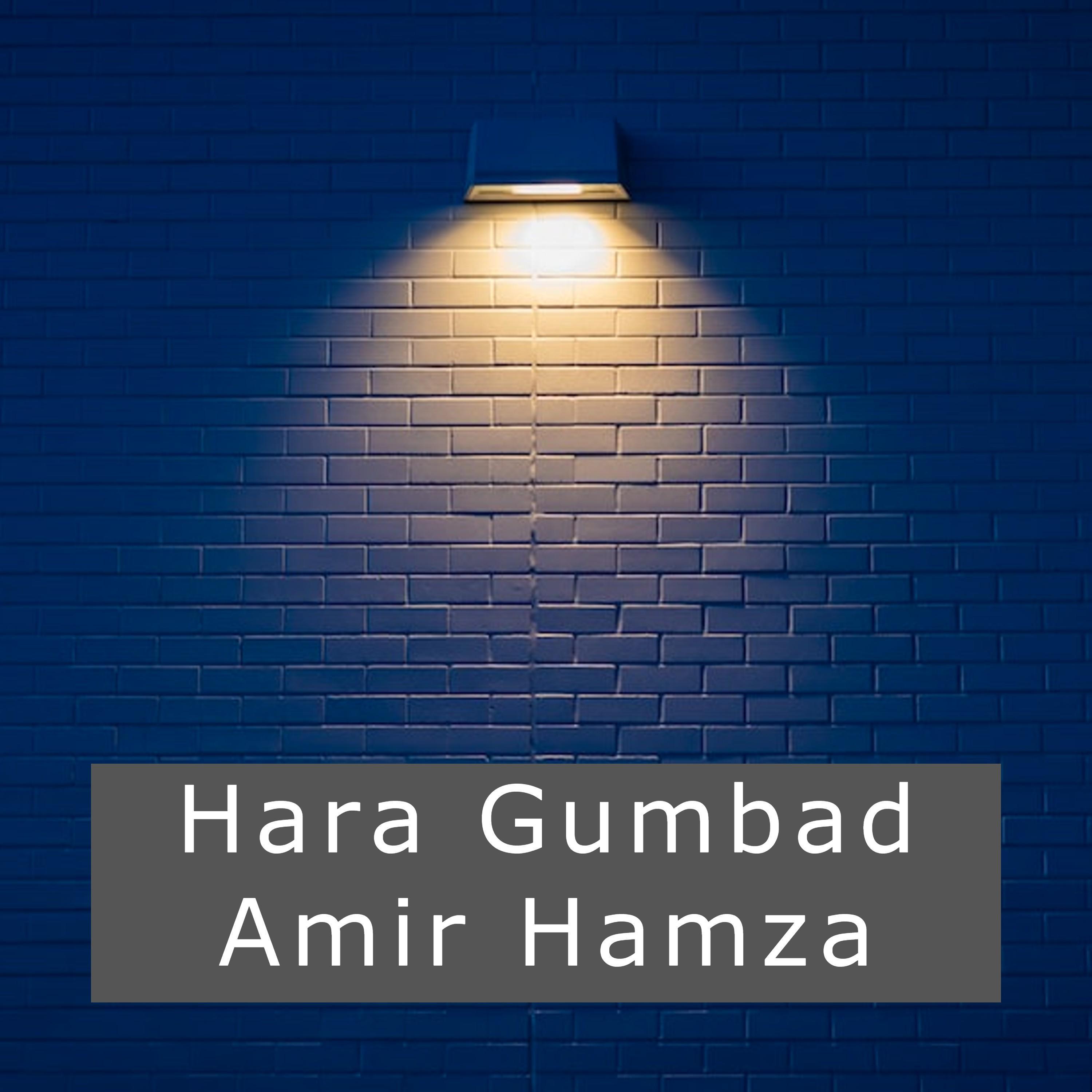 Amir Hamza - Hara Gumbad Jo Dekhoge