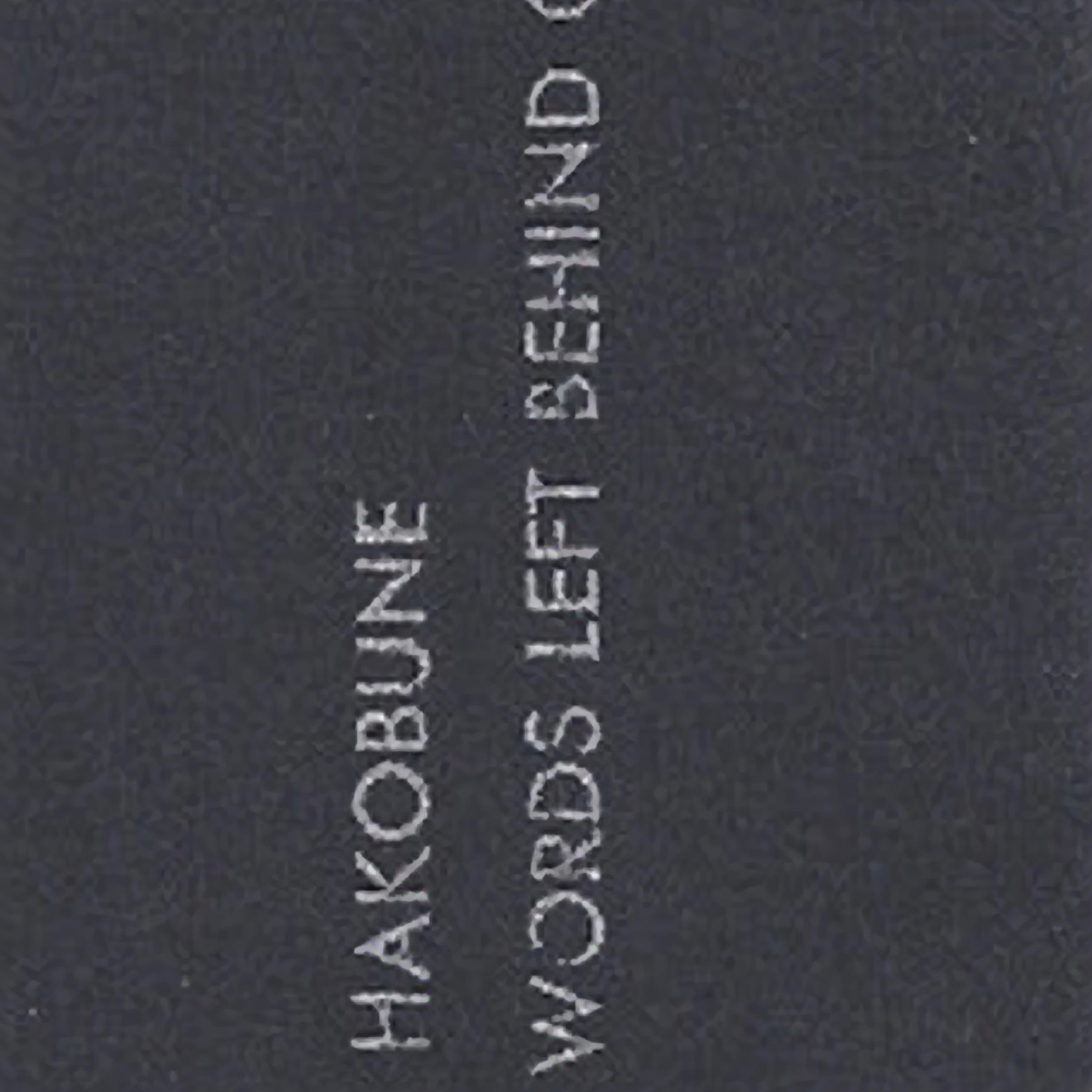 Words Left Behind on Ashes
