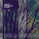 Hold Me Now专辑