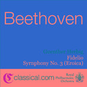 Ludwig van Beethoven, Symphony No. 5 In C Minor, Op. 67 (Beethoven's Fifth)专辑