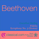 Ludwig van Beethoven, Symphony No. 5 In C Minor, Op. 67 (Beethoven's Fifth)