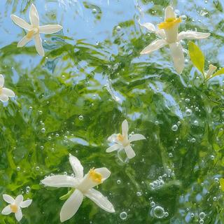 春颂｜一场关于春日的无限遐想