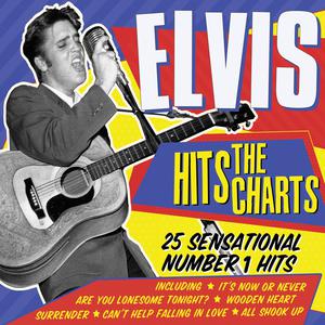 Elvis Presley - (Marie's The Name) His Latest Flame (PT karaoke) 带和声伴奏 （降1半音）