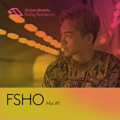 The Anjunabeats Rising Residency with FSHO #1