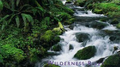 Echoes of Nature: Wilderness River专辑