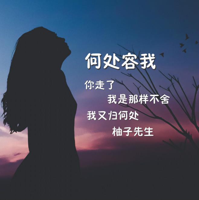 何处容我（不舍）专辑