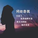 何处容我（不舍）专辑