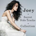 Joey: Secret Side Tracks Collection专辑