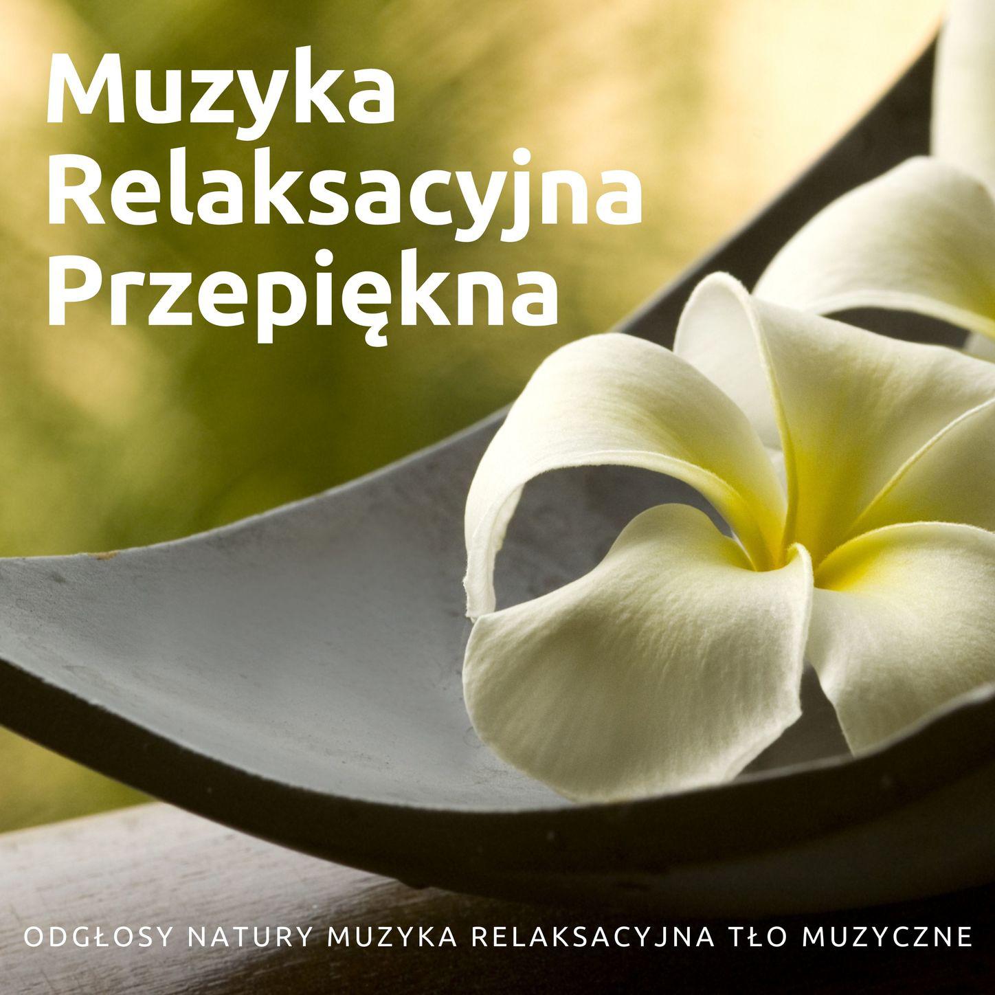 Muzyka Relaksacyjna - Odgłosy Natury