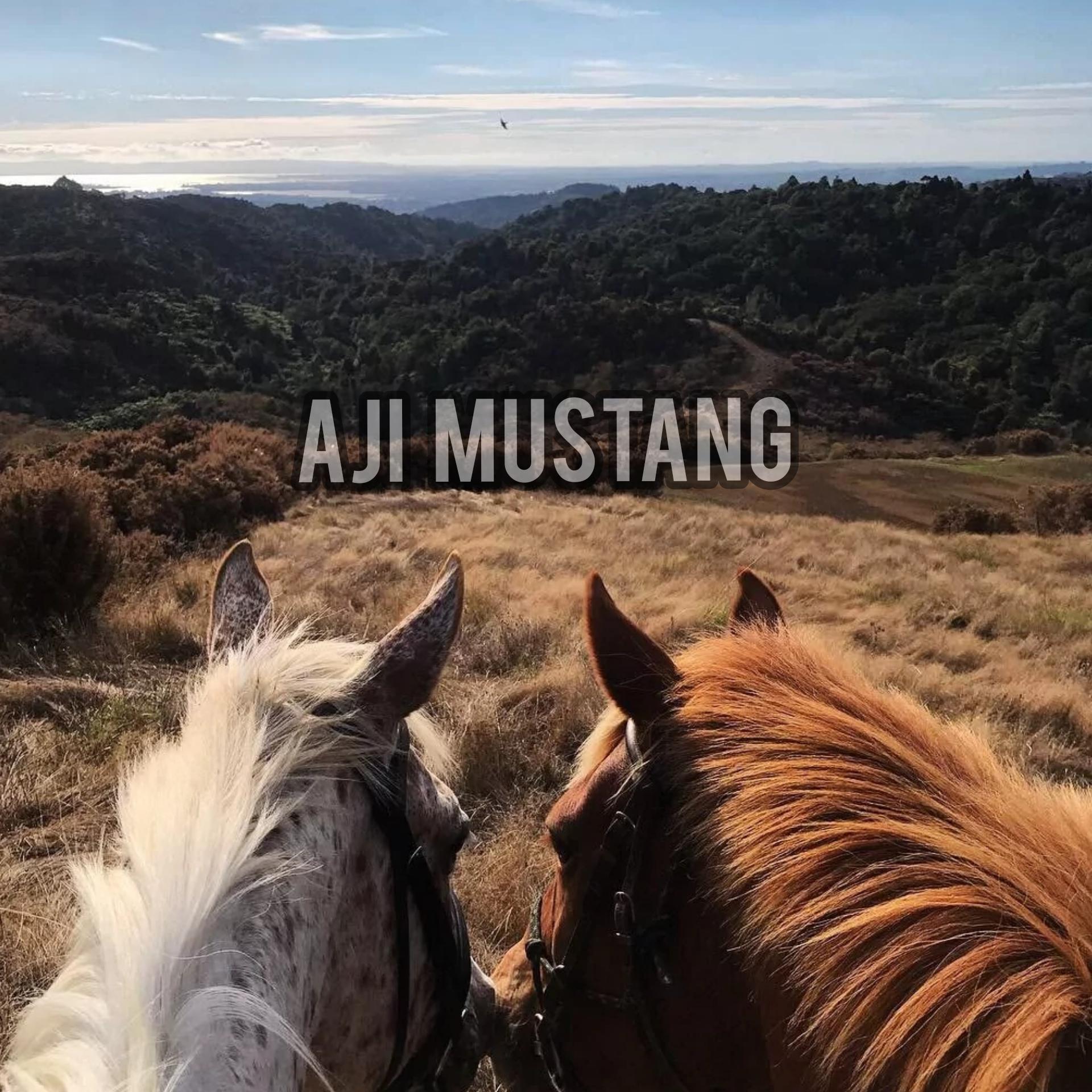 MiyaGi-I GOT LOVE（阿吉野马 remix）