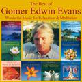 The Best Of Gomer Edwin Evans: Fantastic Instrumental Music