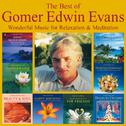 The Best Of Gomer Edwin Evans: Fantastic Instrumental Music专辑