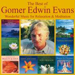 The Best Of Gomer Edwin Evans: Fantastic Instrumental Music专辑
