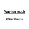 $GGVi、KSHMR、Kiiara - Way Too Much(Drumking remix)（Drum king remix）