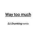 Way too much(Drumking bootleg)专辑