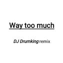 Way too much(Drumking bootleg)专辑