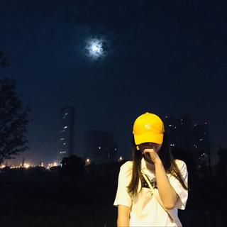 夕阳已去，皎月方来