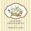 Auditory Arrangement