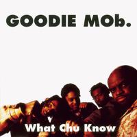 What Chu Know - Goodie Mob (instrumental)