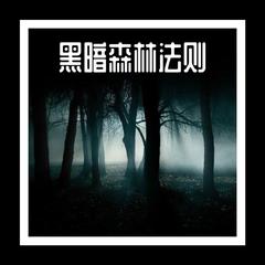 黑暗森林法则