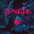 Jungle
