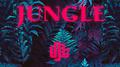 Jungle专辑