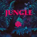 Jungle专辑