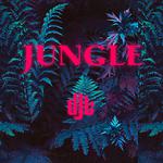 Jungle专辑