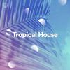 SuzannaVicii - The Nights Tropical House