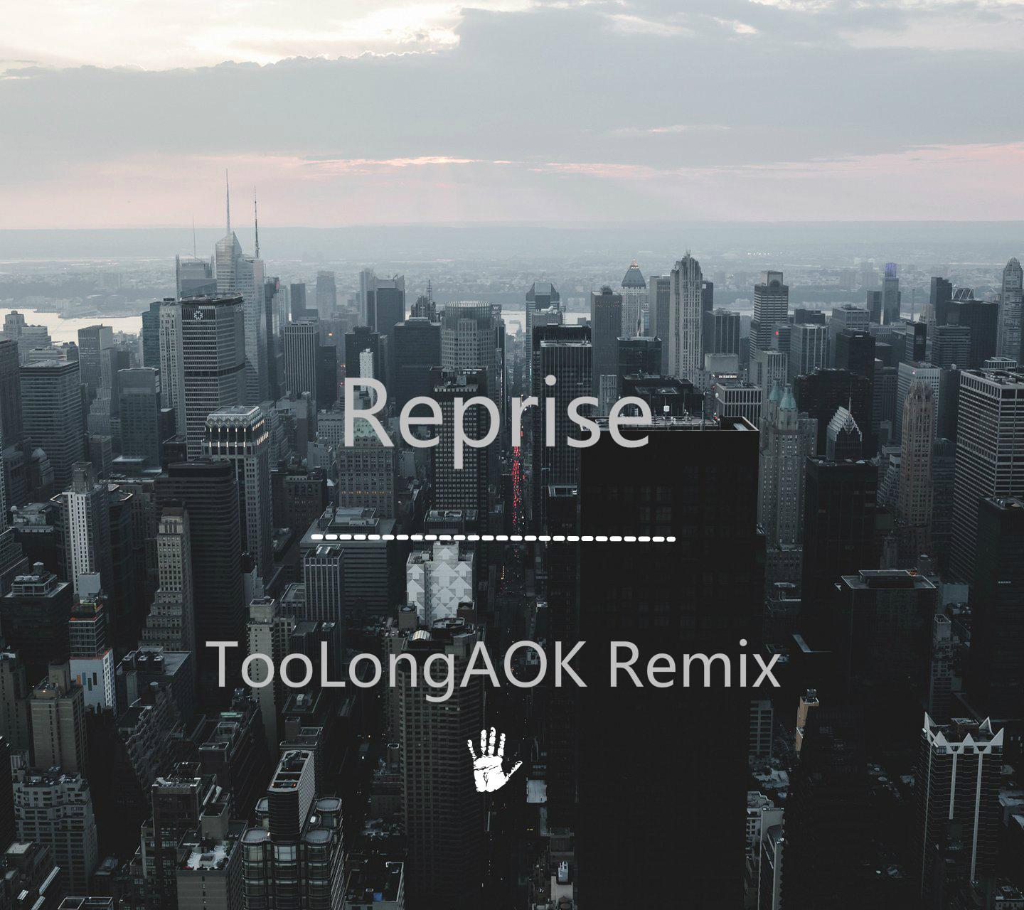 Reprise(TooLongAOK Remix)专辑