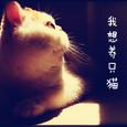 我想养只猫