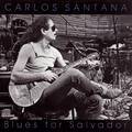 Blues For Salvador