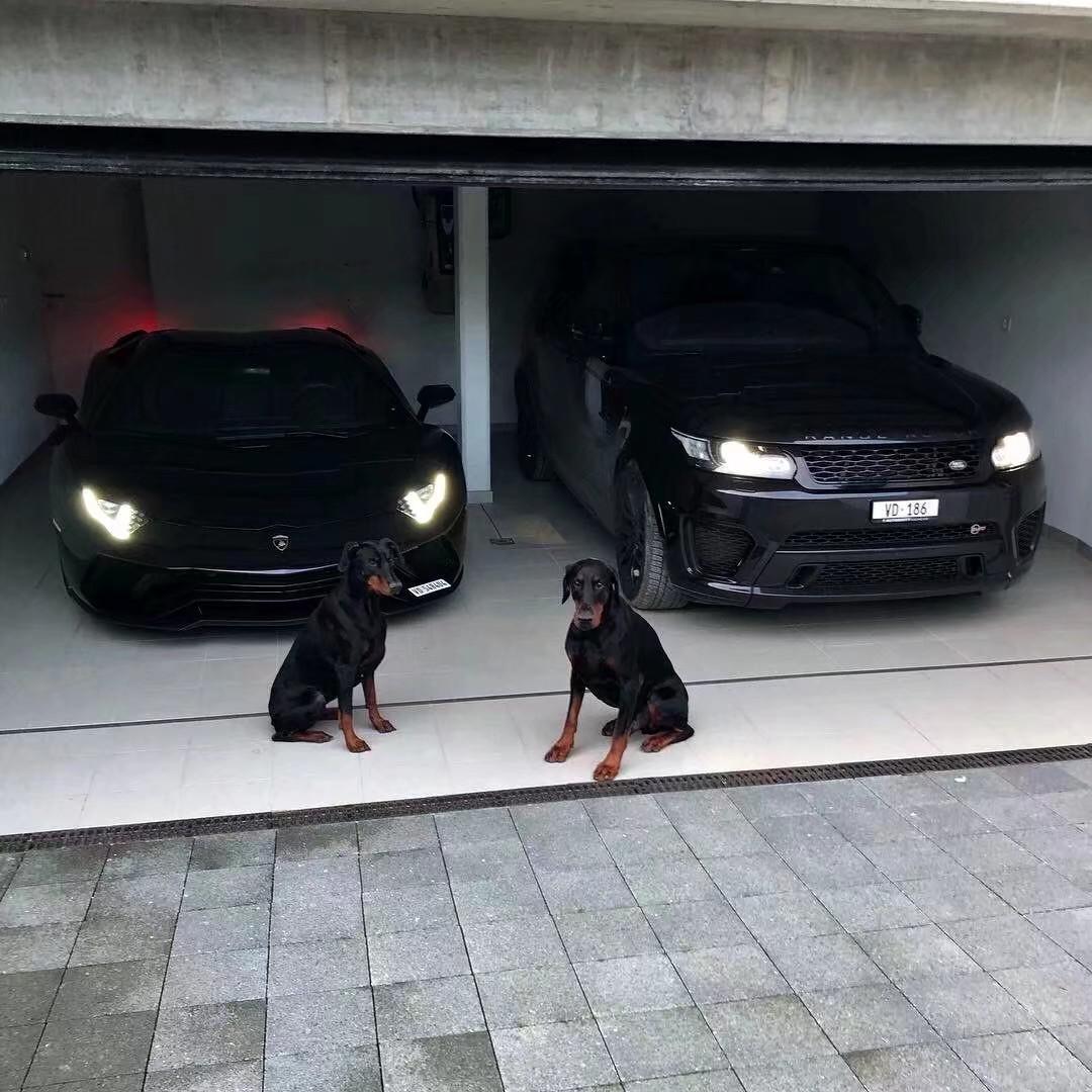 THEM