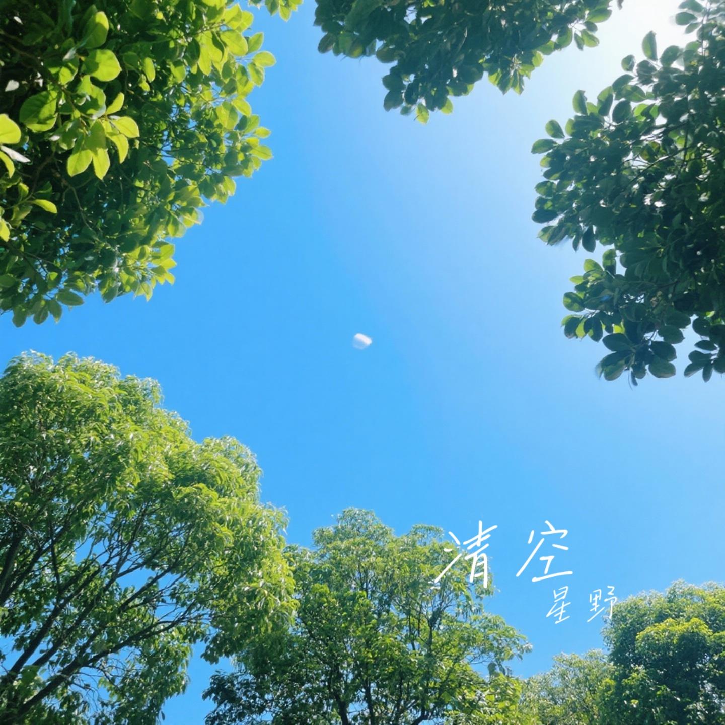 清空（Cover 王忻辰 & 苏星婕）