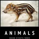 Animals Sound Effects Tones专辑