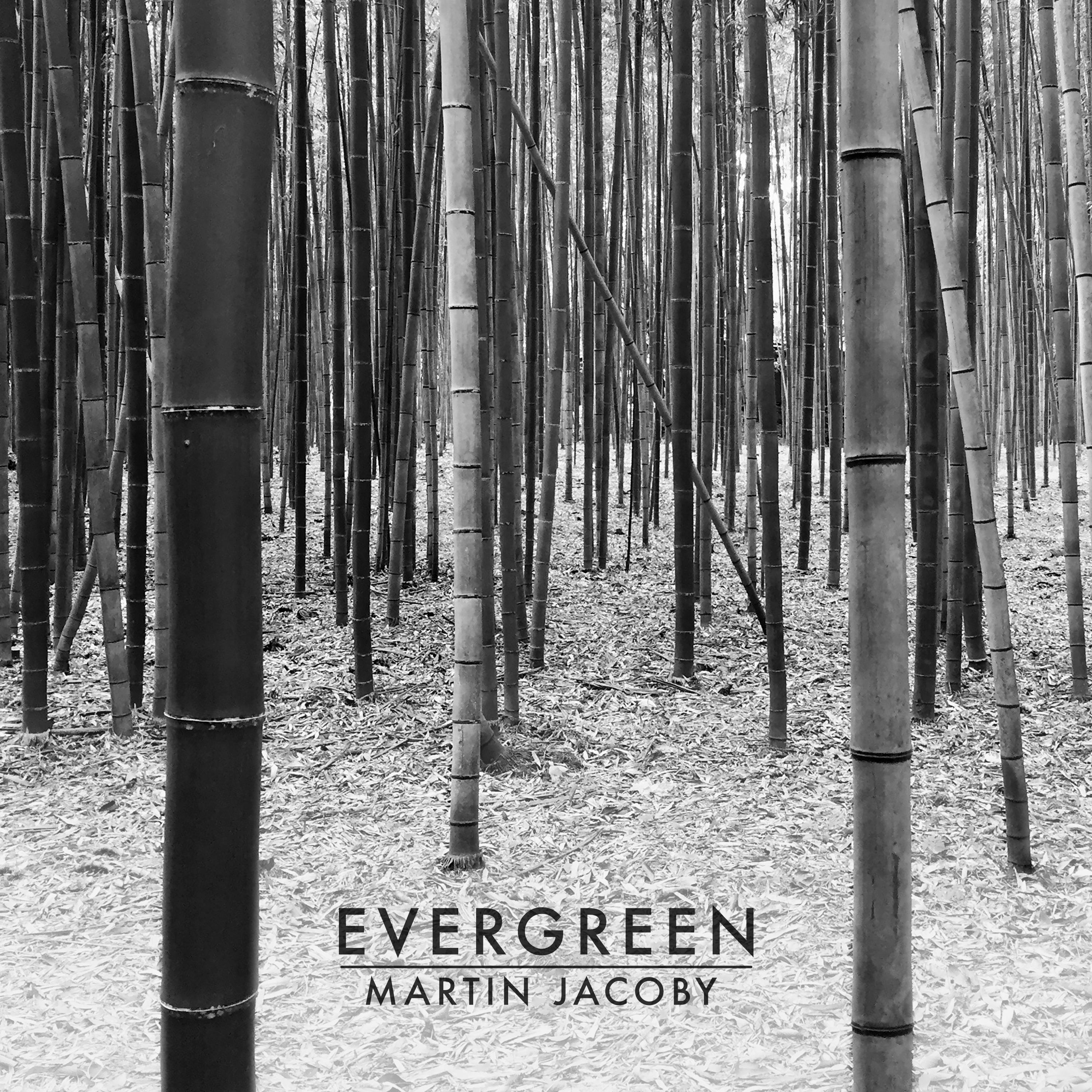 Martin Jacoby - Entropy