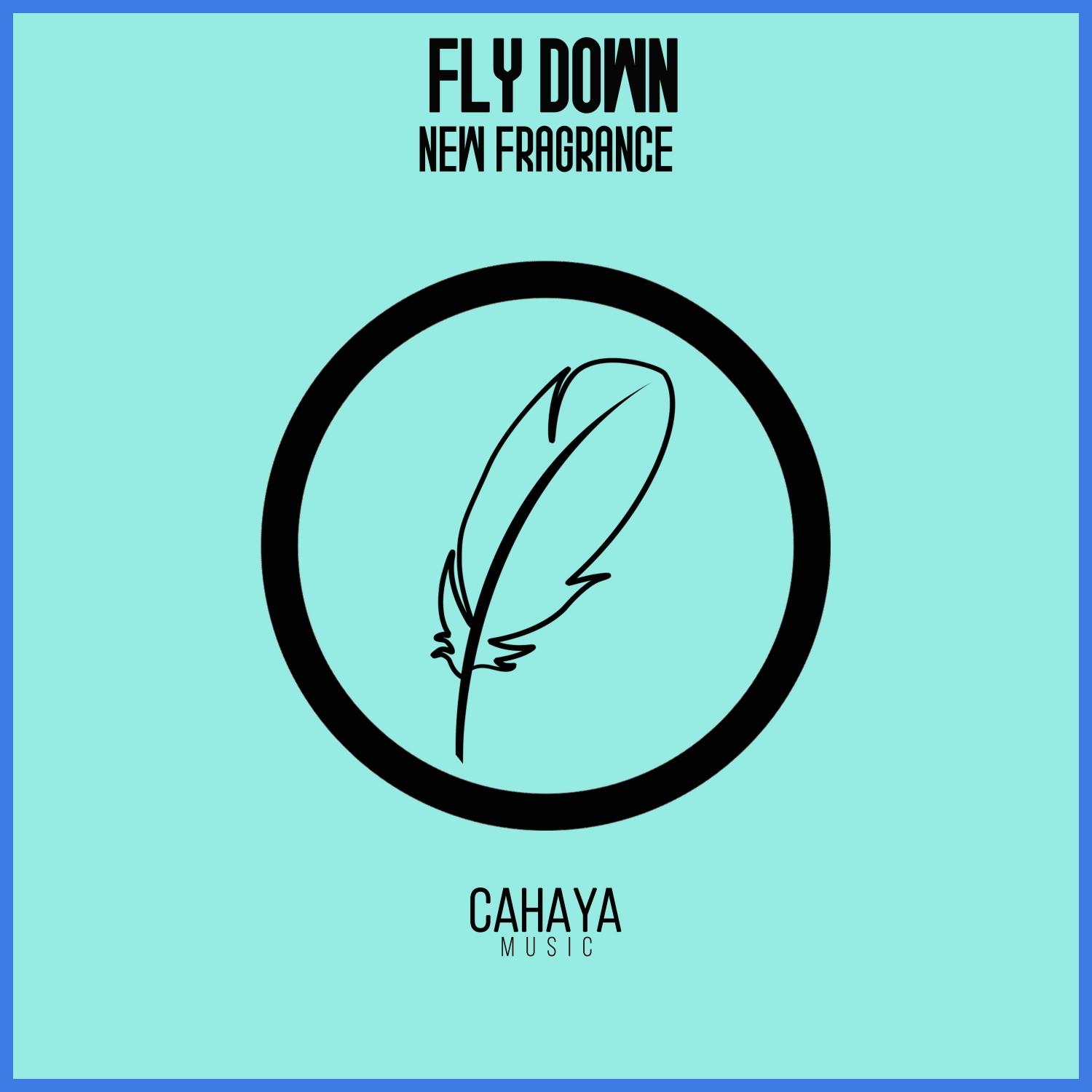 Fly Down