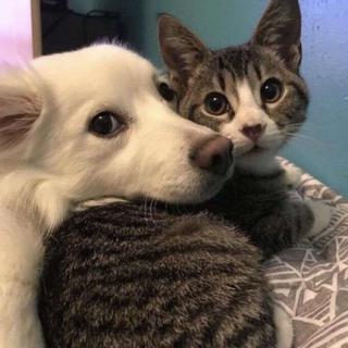 想和你做彼此心事的靠山，永远好奇贪玩