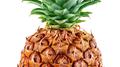 PPAP (FK Mashup)专辑