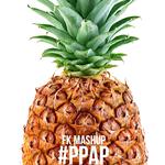 PPAP (FK Mashup)专辑