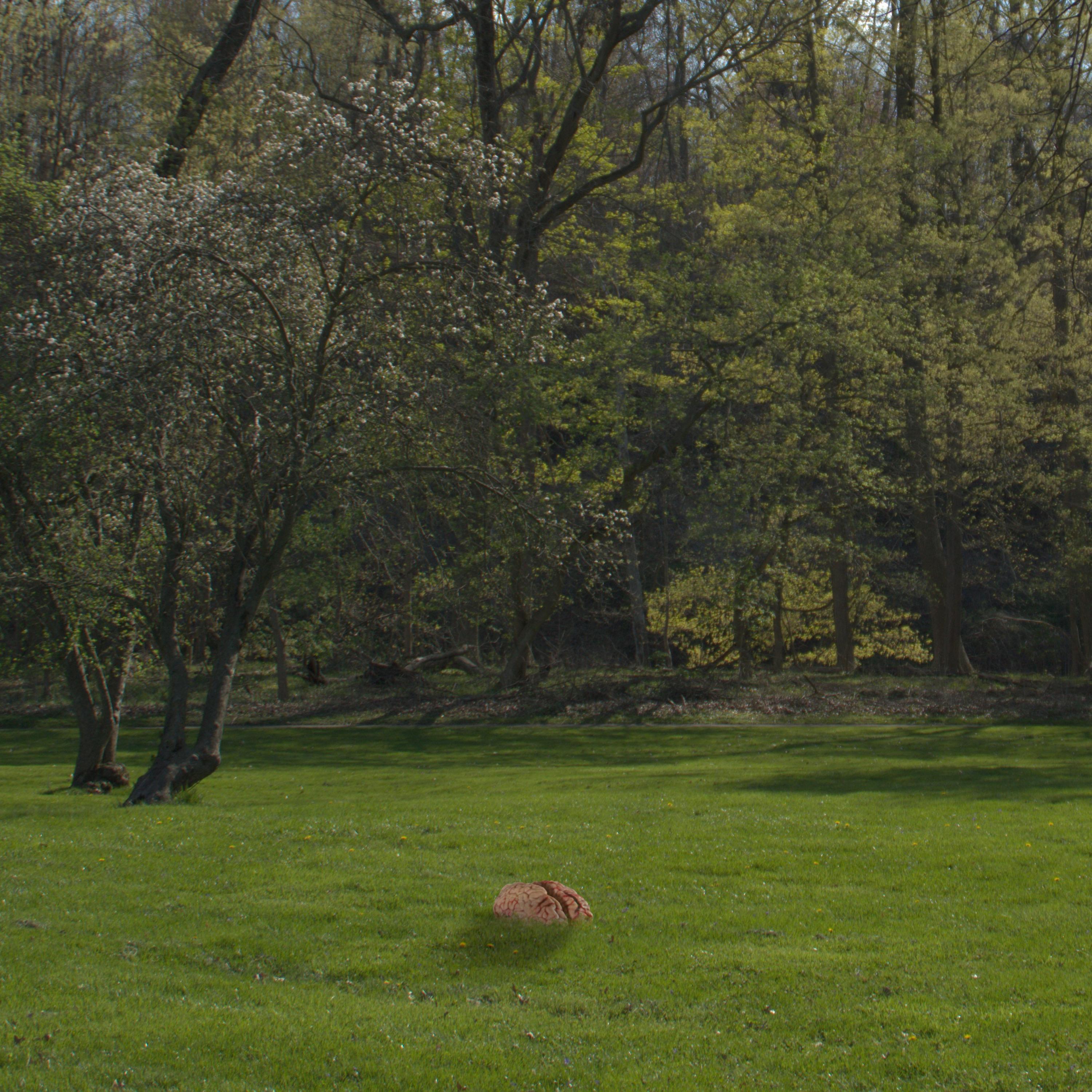 made the right choice (feat. Daltmd)