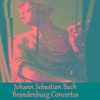 Brandenburg Concerto No. 2 in F Major, BWV 1047: I. Allegro moderato
